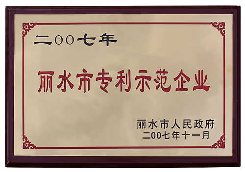 麗水市專利示范企業(yè)